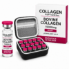 Bovine Collagen 15000mg Berry Lyophilized Vials - Wholesale 10 Vial Box